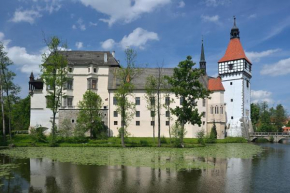 CASTLE AREA BLATNÁ, Blatná
